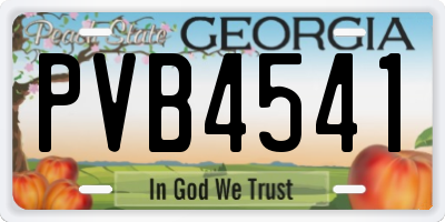 GA license plate PVB4541