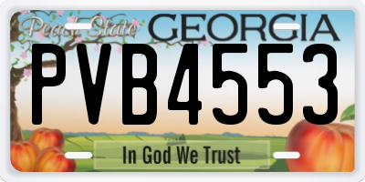 GA license plate PVB4553