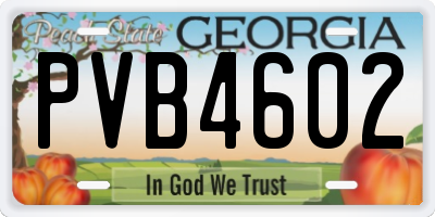 GA license plate PVB4602