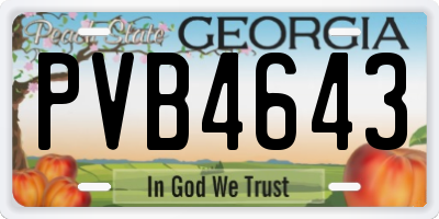 GA license plate PVB4643