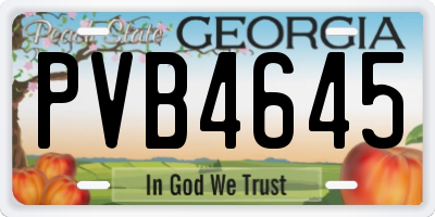GA license plate PVB4645