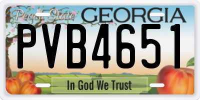 GA license plate PVB4651