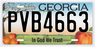 GA license plate PVB4663