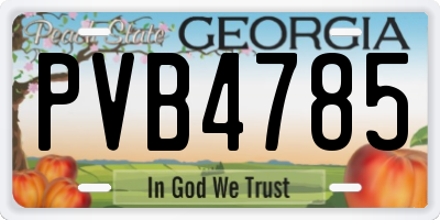 GA license plate PVB4785