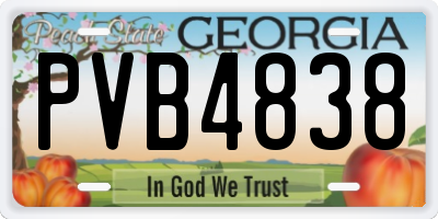 GA license plate PVB4838