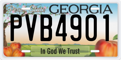 GA license plate PVB4901