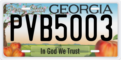 GA license plate PVB5003
