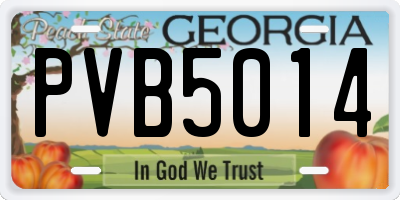 GA license plate PVB5014