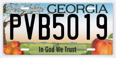 GA license plate PVB5019