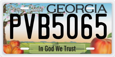 GA license plate PVB5065