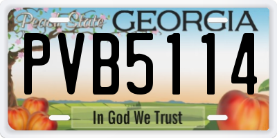 GA license plate PVB5114