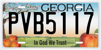 GA license plate PVB5117