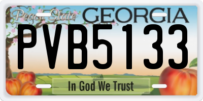 GA license plate PVB5133
