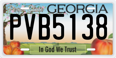 GA license plate PVB5138