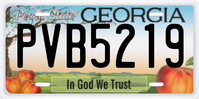 GA license plate PVB5219