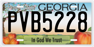 GA license plate PVB5228