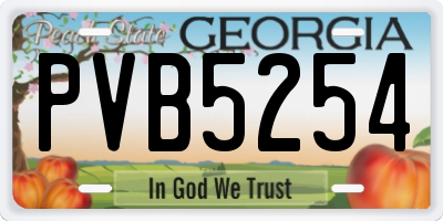GA license plate PVB5254