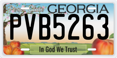 GA license plate PVB5263