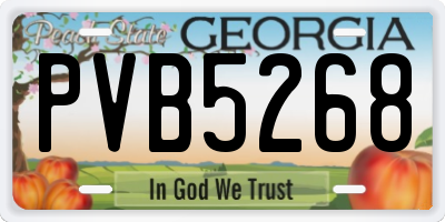 GA license plate PVB5268