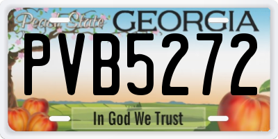 GA license plate PVB5272