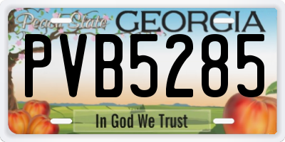 GA license plate PVB5285