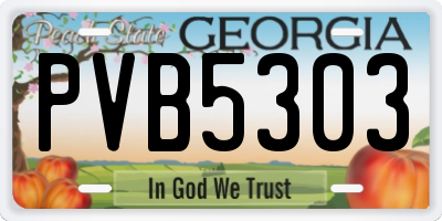 GA license plate PVB5303