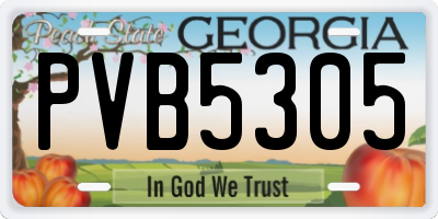 GA license plate PVB5305