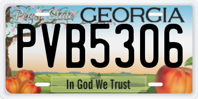 GA license plate PVB5306