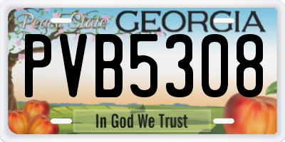 GA license plate PVB5308