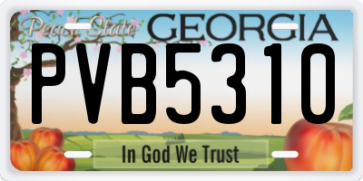 GA license plate PVB5310