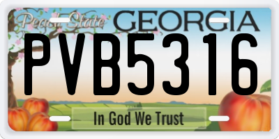 GA license plate PVB5316
