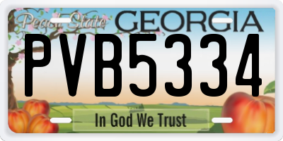GA license plate PVB5334