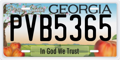 GA license plate PVB5365
