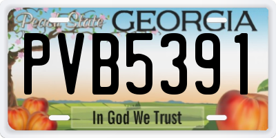 GA license plate PVB5391
