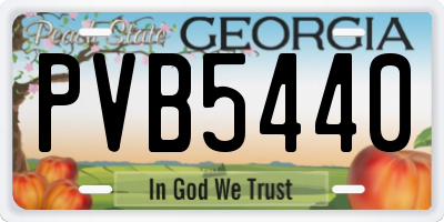 GA license plate PVB5440