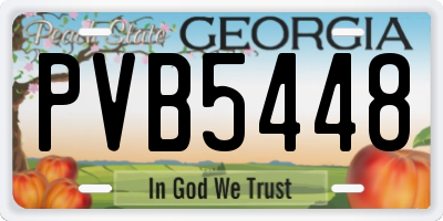 GA license plate PVB5448