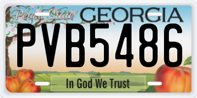 GA license plate PVB5486