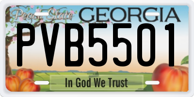 GA license plate PVB5501