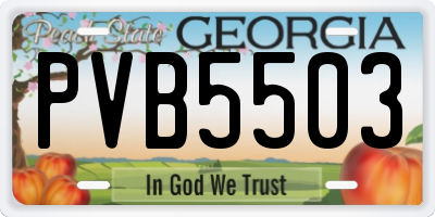 GA license plate PVB5503