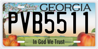 GA license plate PVB5511