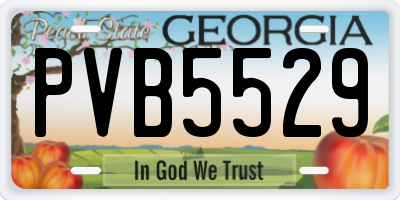 GA license plate PVB5529