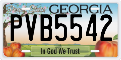 GA license plate PVB5542