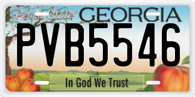 GA license plate PVB5546