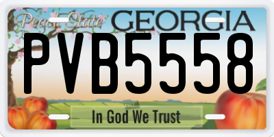 GA license plate PVB5558