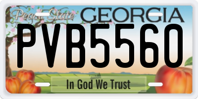 GA license plate PVB5560