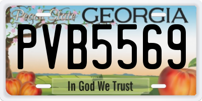 GA license plate PVB5569