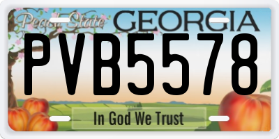 GA license plate PVB5578