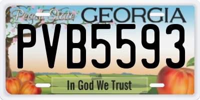 GA license plate PVB5593