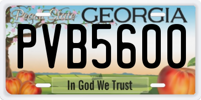 GA license plate PVB5600