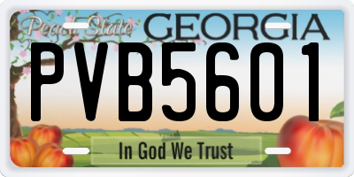 GA license plate PVB5601